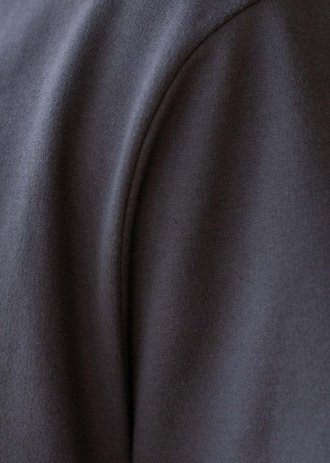 Ginko Dark Grey — Heavy Weight T-Shirt